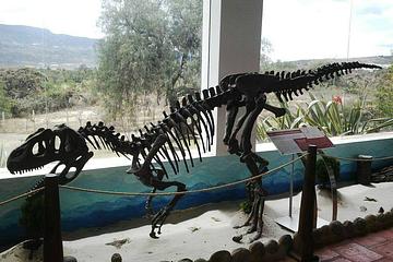 Centro de investigaciones paleontológicas 