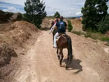 Recorrido por la zona semidesértica 