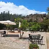 Viñedo de la zona 
