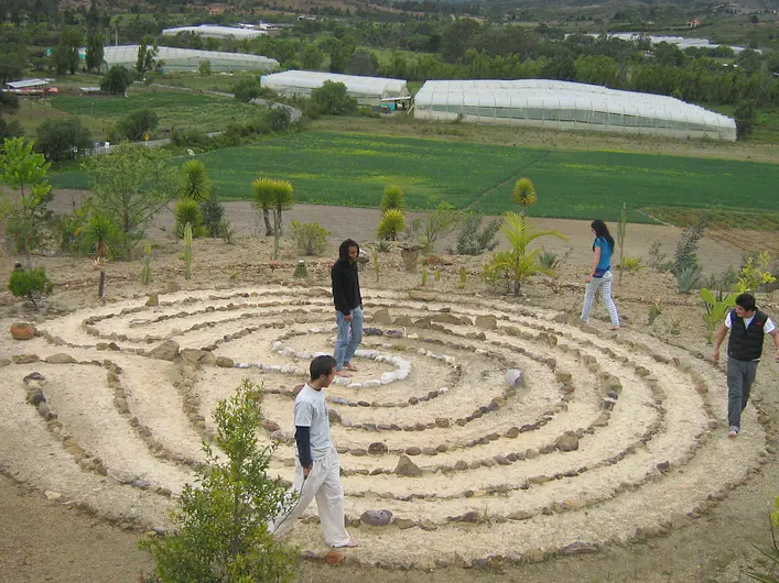Fibas Jardín de desierto