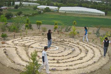 Fibas Jardín de desierto