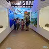 Museo Fósil 