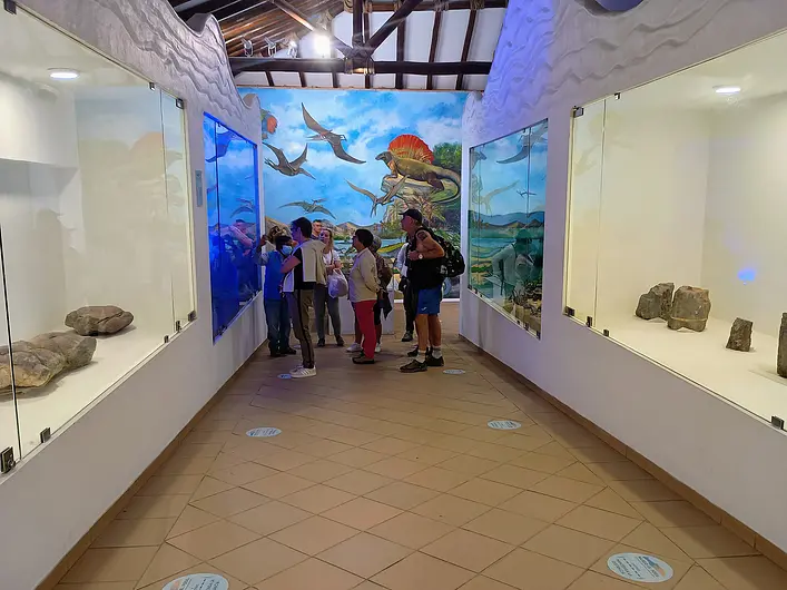 Museo Fósil 