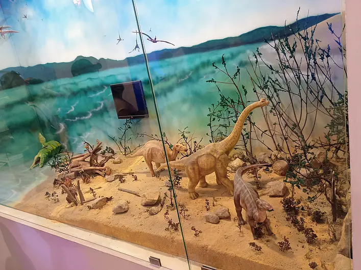 Museo Fósil 