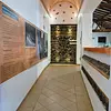 Museo Fósil 
