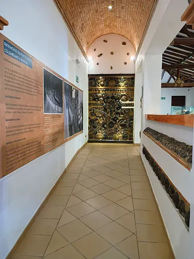 Museo Fósil 