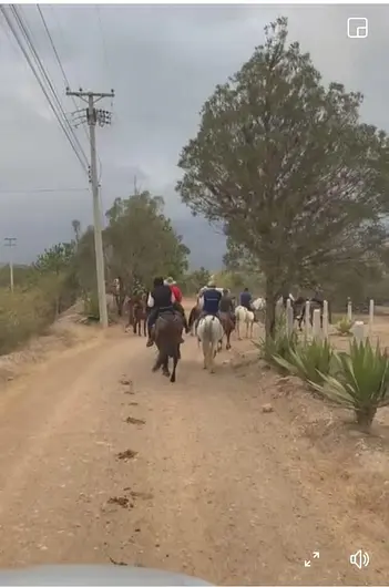 Cabalgata de dos horas 