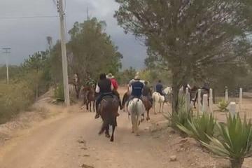 Cabalgata de dos horas 