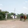Cabalgata de dos horas 