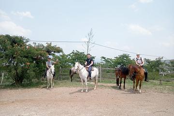 Cabalgata de dos horas 