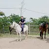 Cabalgata de dos horas 