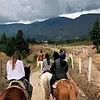 Cabalgata de dos horas 