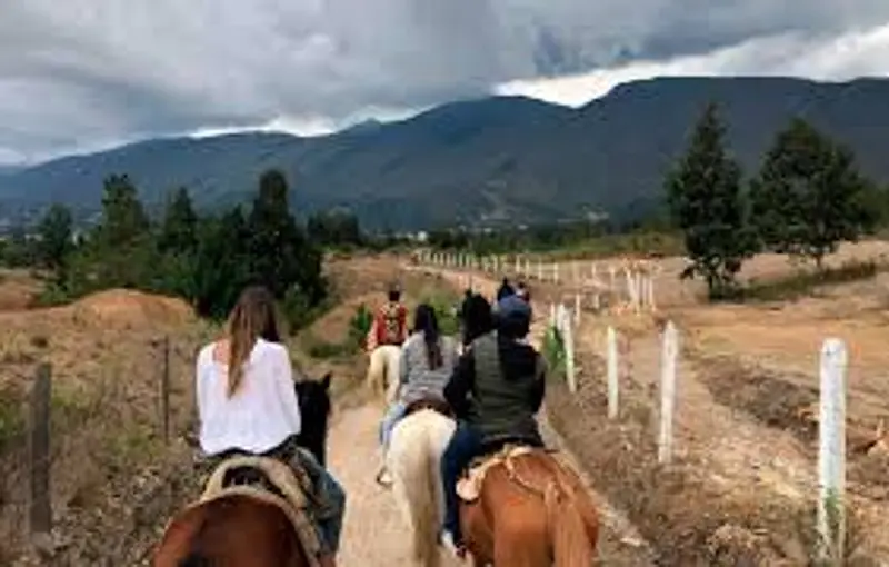 Cabalgata de dos horas 