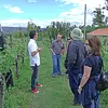 Viñedo de la zona 